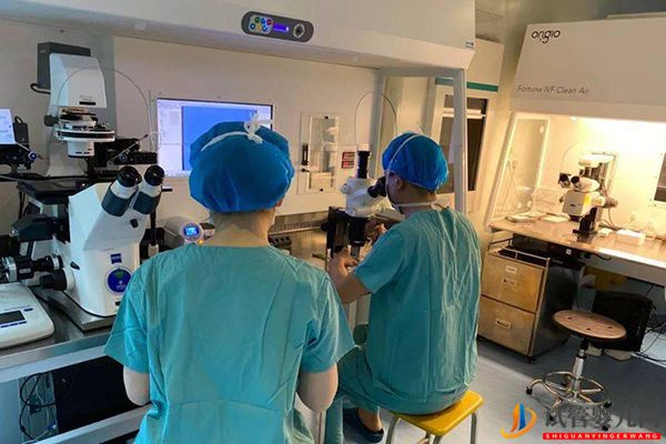 少精和弱精癥有2點區(qū)別，到底哪個更好治療看完明白(圖2)