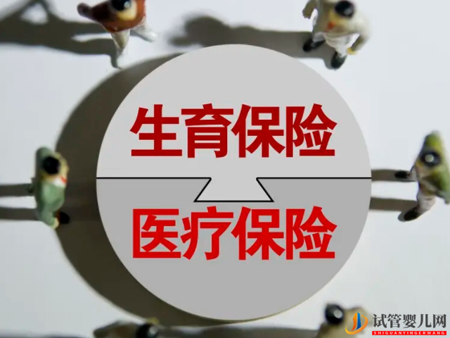 全國31個省份產假新規：浙江(圖3)