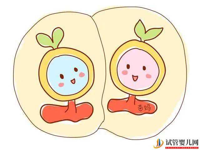 怎樣才能生龍鳳胎(圖1)