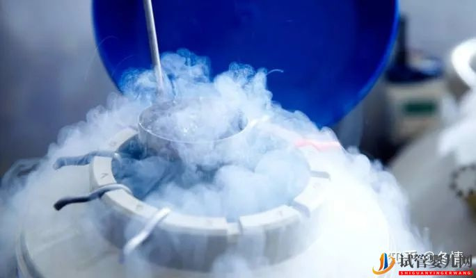 凍胚進(jìn)周期全流程?(圖2)