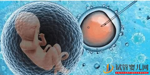試管嬰兒有哪些風險？(圖1)
