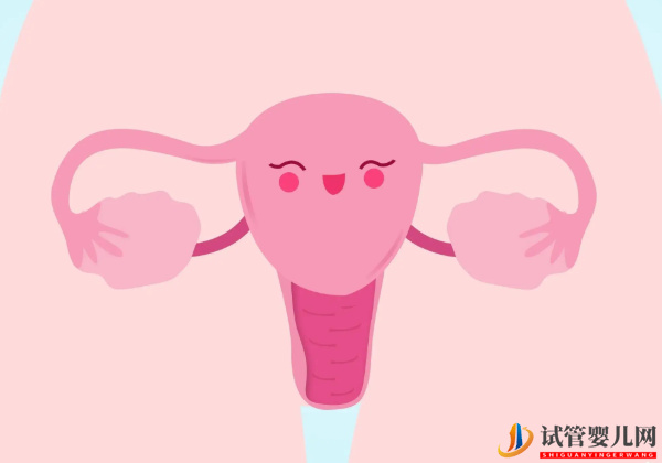 AMH值0.24抓緊調理卵泡發育也能好孕(圖1)