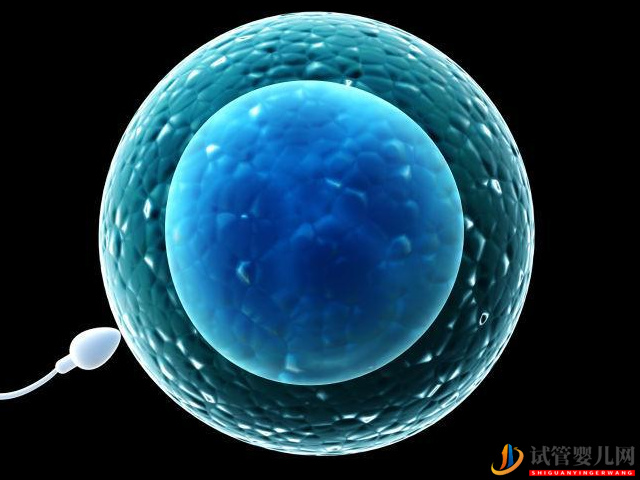 精子畸形率高達(dá)98%通過治療能恢復(fù)正常嗎?(圖2) 精子畸形率高達(dá)98%通過治療能恢復(fù)正常嗎?(圖2)