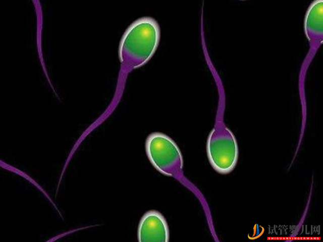 畸形精子癥影響生育別擔心，做試管就能“包辦婚姻”(圖1)
