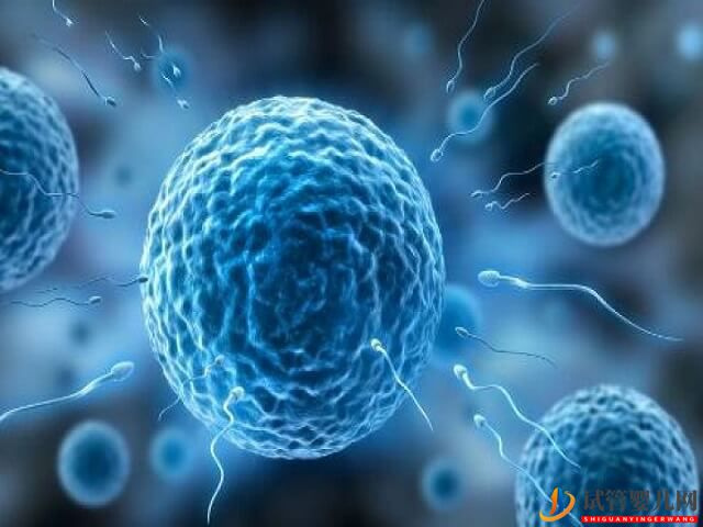 貴陽供精人工授精的流程是怎么樣的？費用是多少？(圖1)