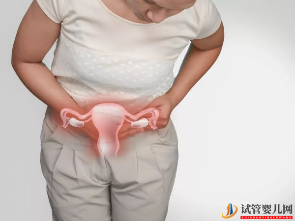 解開抗卵巢抗體陽性不孕之謎(圖2)