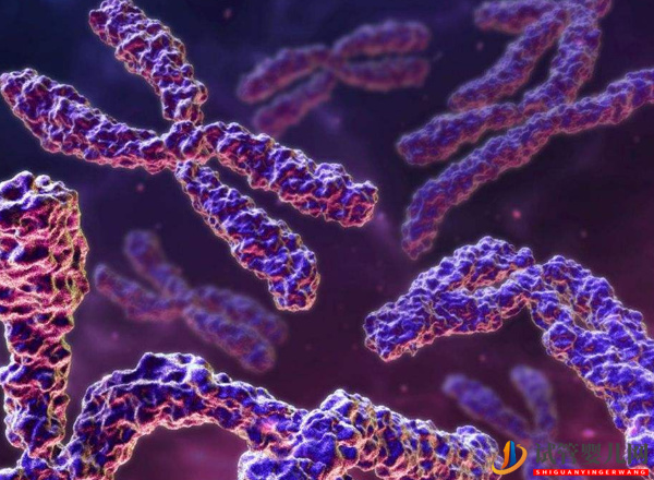 試管查染色體的原因無非就這幾點(圖2) 試管查染色體的原因無非就這幾點(圖2)