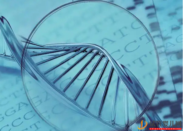 做試管必須重視基因檢測(圖2) 做試管必須重視基因檢測(圖2)