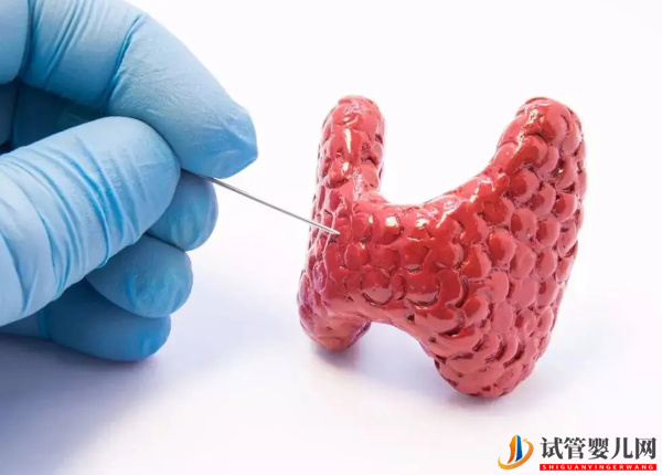 做試管檢查甲狀腺對移植成功率影響真不小(圖2)