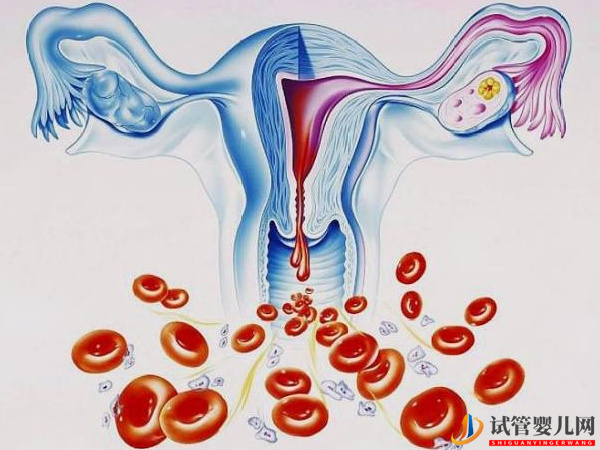 內膜血流不好做試管可這樣改善(圖1)