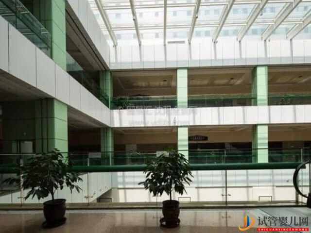 重慶哪里可以供卵做三代試管？(圖1)