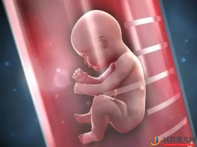 重慶試管嬰兒生男孩的總費用是多少？(圖2)