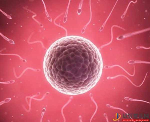 國(guó)內(nèi)精子庫(kù)精子做試管費(fèi)用明細(xì)(圖1) 國(guó)內(nèi)精子庫(kù)精子做試管費(fèi)用明細(xì)(圖1)