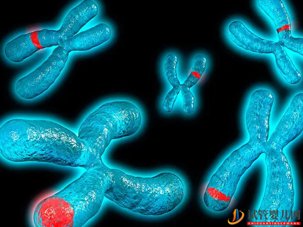 4號(hào)染色體異常的后果 - 缺失綜合征、三體重復(fù)的原因分析(圖1)