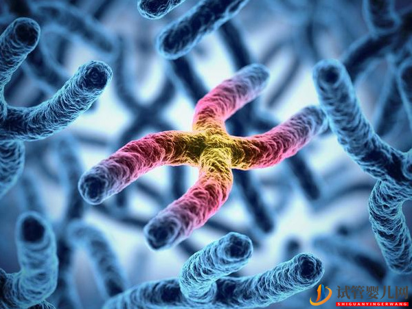 3號染色體異常會怎樣 - 基因微缺失、微重復相關病癥導航(圖2)