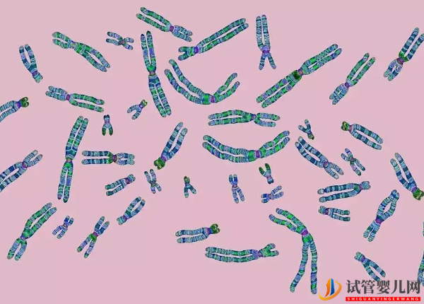 1號染色體異常的后果 - 片段重復、微缺失孩子相關疾病匯總(圖2)