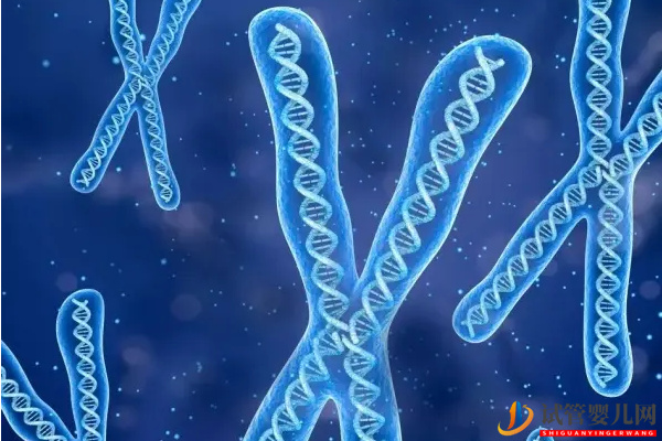 5號染色體決定什么 - 短臂缺失、偏多重復對胎兒的癥狀表現(圖2)