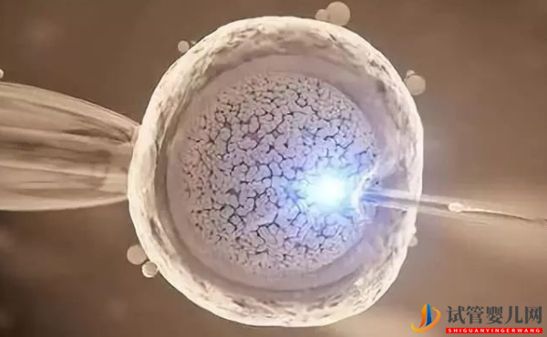 帶你了解，上海仁濟(jì)做供卵試管的流程(圖4)