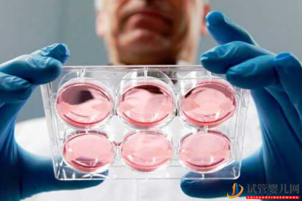 帶你了解，上海仁濟(jì)做供卵試管的流程(圖3)