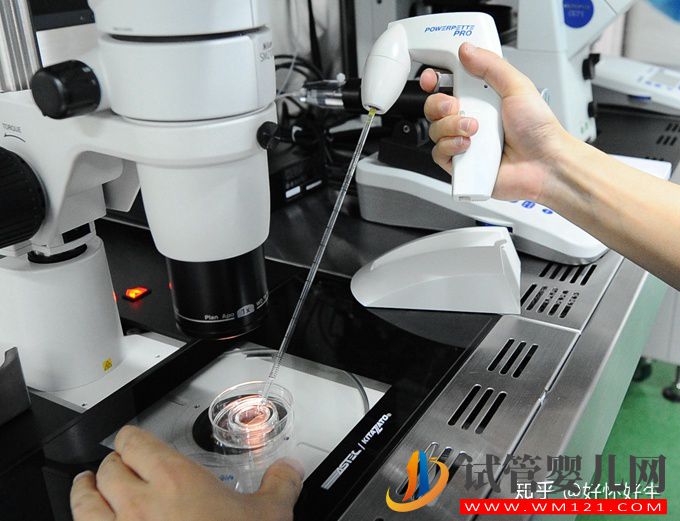 什么是試管嬰兒簡單6步,了解最詳細(xì)的步驟(圖3)