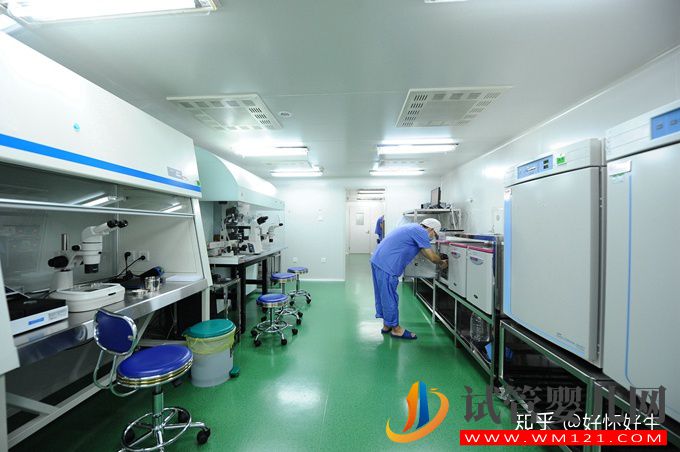 什么是試管嬰兒簡單6步,了解最詳細(xì)的步驟(圖4)