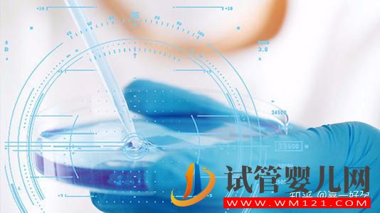 胚胎移植最短只需幾分鐘,幾分鐘里講究也不少(圖3)