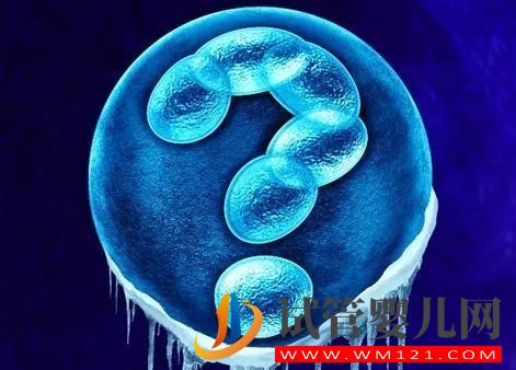 你打算什么時候生孩子?試管嬰兒凍胚移植條件都有哪些呢?(圖1)