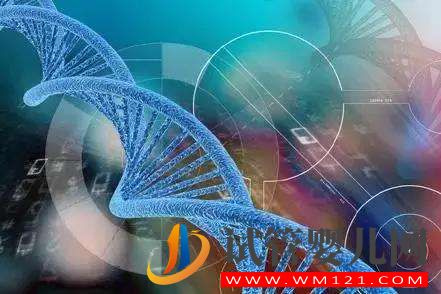 努里耶夫醫(yī)院女方有抗精子抗體能做俄羅斯試管嬰兒?jiǎn)幔?圖1)