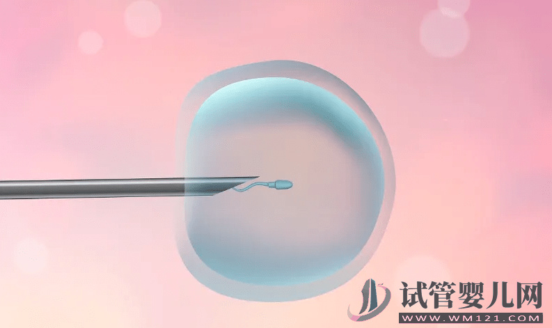 試管嬰兒和普通嬰兒有什么不同?子宮內(nèi)膜厚度多少正常(圖2) 試管嬰兒和普通嬰兒有什么不同?(圖2)