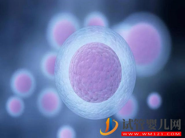 t卵p懷分手后孩子歸誰?(圖2) t卵p懷分手后孩子歸誰?(圖2)