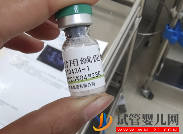 打尿促性素這幾天卵泡就會成熟，不長2大方法可調整(圖2)