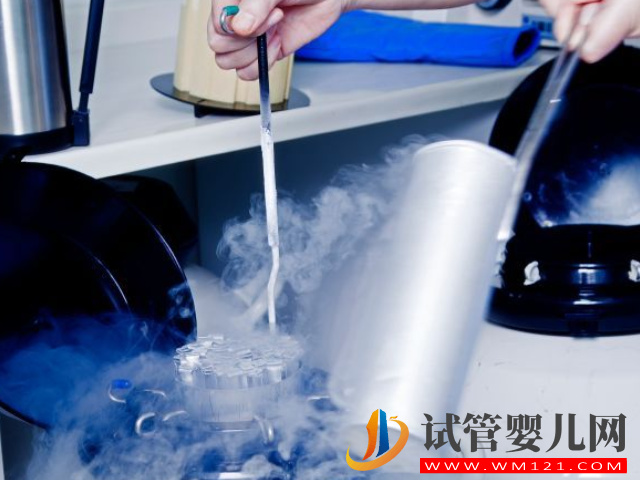 卵子儲存和胚胎儲存別混為一談，作用和適合人群都不同(圖1)