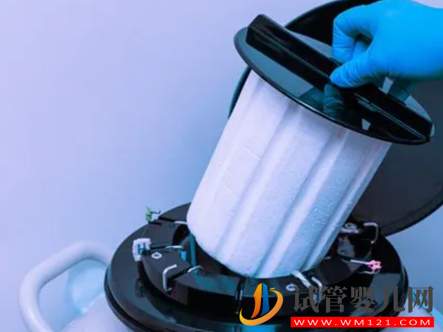 卵子儲存和胚胎儲存別混為一談，作用和適合人群都不同(圖2)