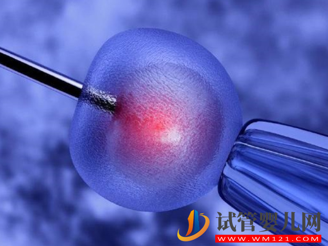 卵子儲存和胚胎儲存別混為一談，作用和適合人群都不同(圖3)
