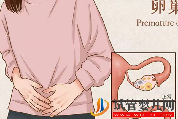 24歲卵巢早衰醫生說不用治原因有2點(圖2)