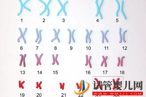 別問幾號染色體異常誰最輕誰最重，1-22常見種類在這里(圖2)