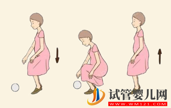 試管移植后彎腰撿東西影響不大：注意幅度當(dāng)心胚胎被擠壓(圖2)