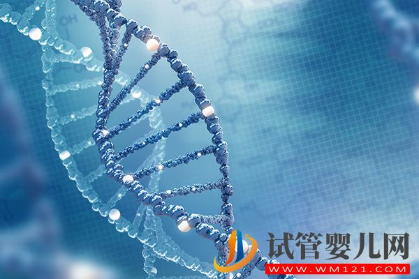 男性y染色體決定孩子3大性狀特征，是否影響長相看完便知(圖1)