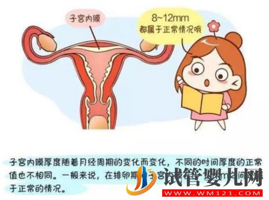 試管嬰兒移植前如何選擇內(nèi)膜準(zhǔn)備方案各方案有哪些優(yōu)點(圖1)