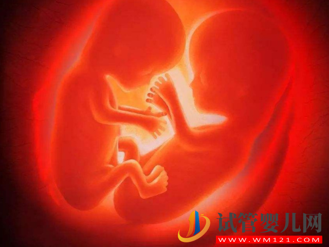 做試管詳細(xì)總費(fèi)用清單，單胎雙胎價(jià)格居然一樣(圖4)