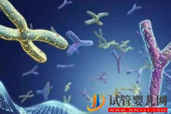 52歲做借卵試管成功率在這個數,附供卵案例和醫院名單(圖3) 52歲做借卵試管成功率在這個數,附供卵案例和醫院名單(圖3)