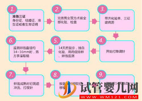 試管嬰兒流程步驟說明(圖1)