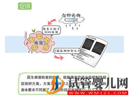 試管嬰兒流程步驟說明(圖3)