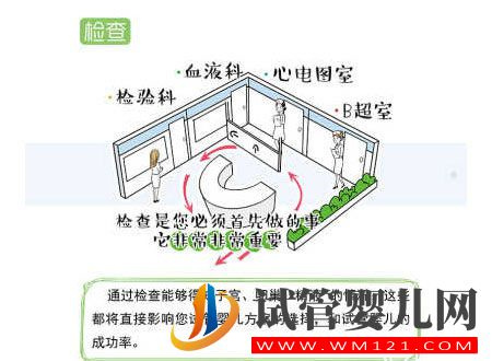 試管嬰兒流程步驟說明(圖2)