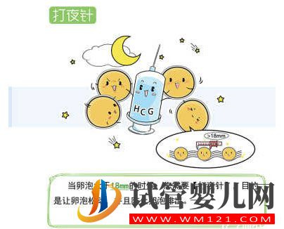 試管嬰兒流程步驟說明(圖6)