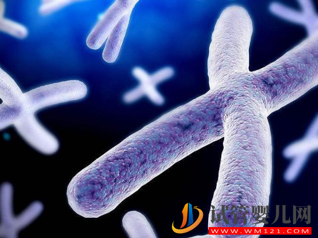 4種傳男不傳女的遺傳病盤點，如有必要請選擇第三代試管助孕(圖1)