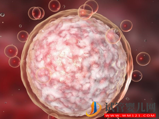 女性備孕期多吃這5種助孕食物，長期吃能養出“高顏值”卵泡(圖1)