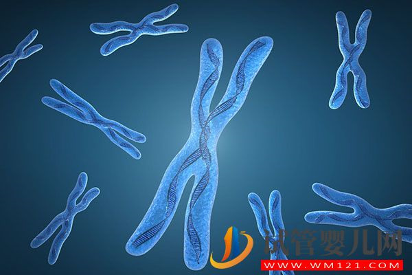 供精人工授精要二胎檢查項目匯總，是否查染色體看完便知(圖3)