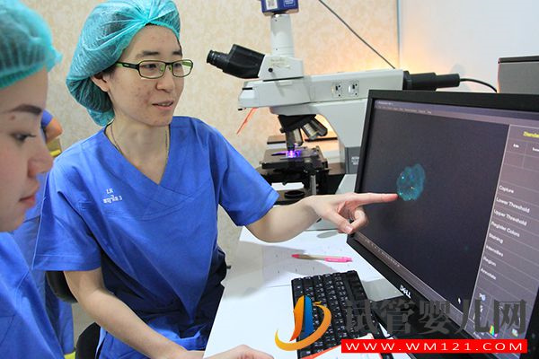 第三代試管嬰兒條件和要求匯總，這7種情況都可以治療(圖1)