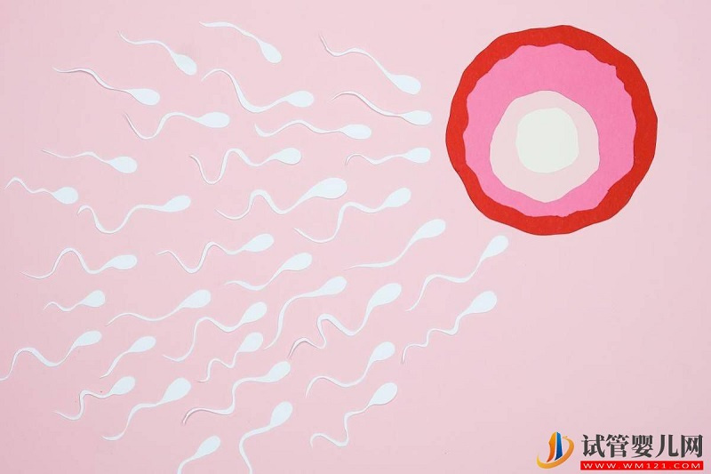 為什么她的試管嬰兒新鮮周期可以移植，而我的卻不能移植呢？ (圖1)